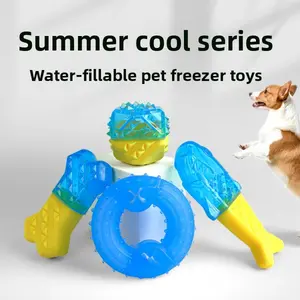 Dog Toys — Water-Fillable Frozen Bone Toy, Durable Chew & Teeth-Grinding Toy for Pets, TPR Ball