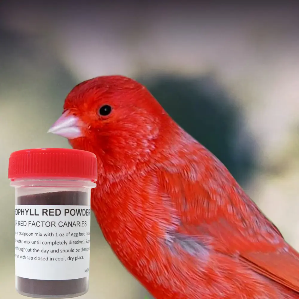 Red Bird Color Supplement Powder for Canaries & Pet Birds, Easy Mix Formula, 30g