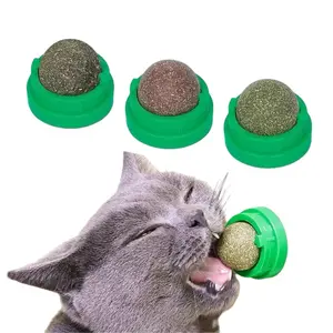 Pet Toy Balls Fun Healthy Teething Cat Toys That Can Be Attached to The Wall as Pets Cats Toys