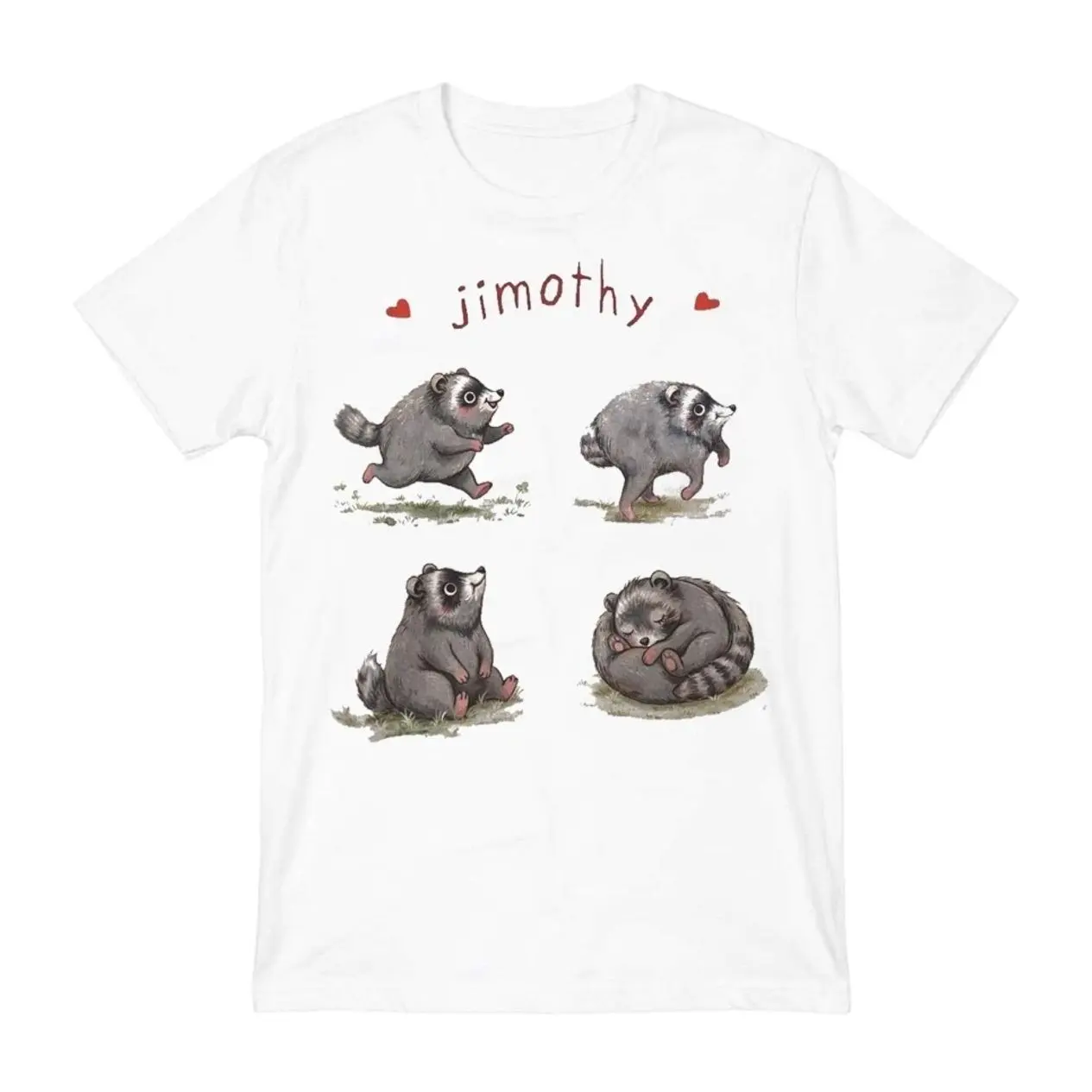 Gildan 5000 Jimothy Raccoon 4 Poses Seattle Short Spine Syndrome T-Shirt, Cotton