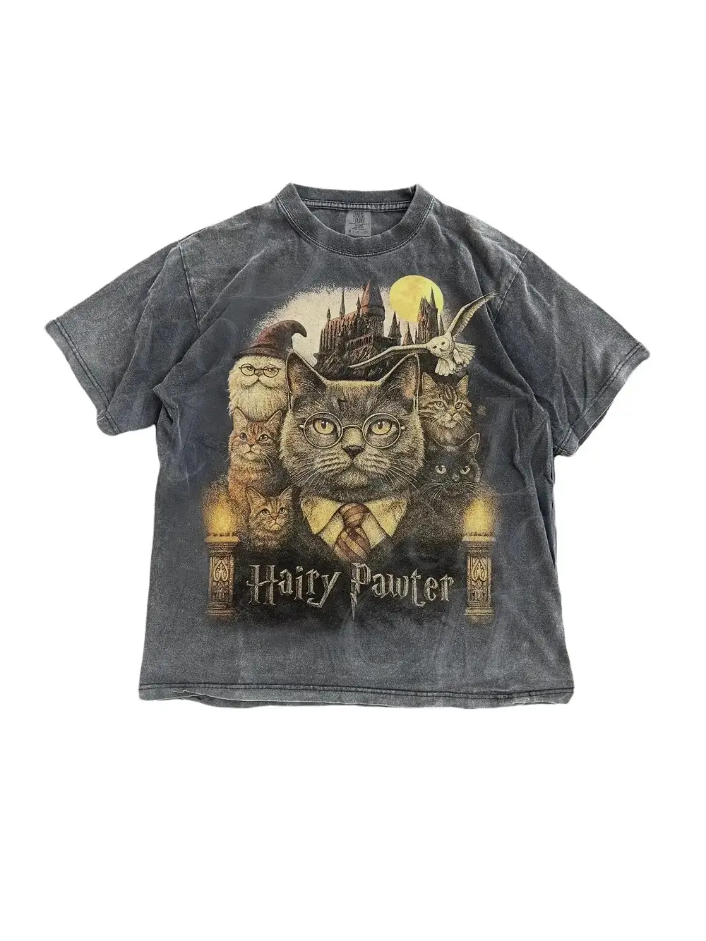 Hairy Pawter Vintage 90s Graphic Tee | Retro Funny Cat Wizard Fantasy Shirt | Wizarding School Comfort Colors Tee, Book Reader Gift
