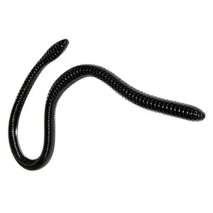 Gambler ER16 16 inch Soft Plastic Worm
