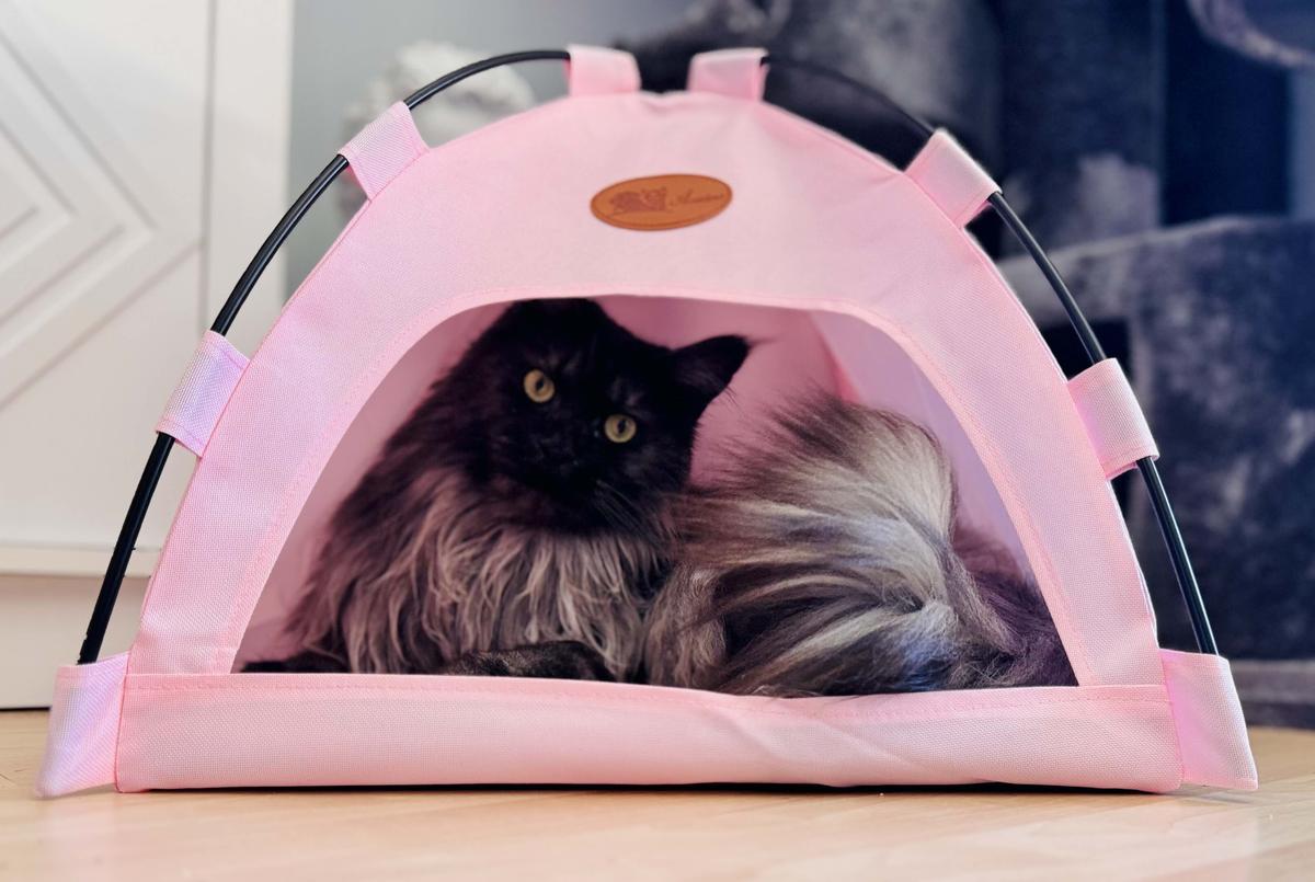 Item: Pink, L(within 15 pounds)