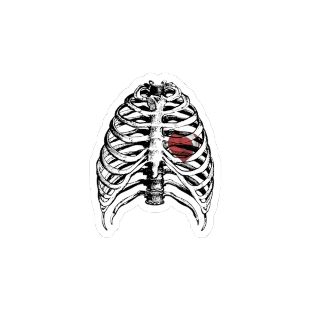 Silnt Anatomical Skeleton Kiss-Cut Stickers | Unique Anatomy Decor, Medical Student Gifts, Laptop Stickers, Cool Art for Home, Heart Design