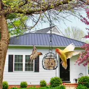 Hanging Bird Feeder for Outdoor Birds, Springtime Garden and Patio Bird Feeding Cage, Ideal for Attracting Wild Birds