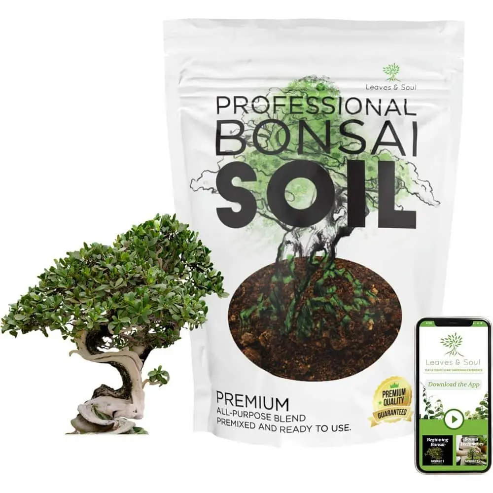 Bonsai Soil Premium 8.2 qt. Ready to Use Lava, Limestone, Fast Drainage, Plant Support