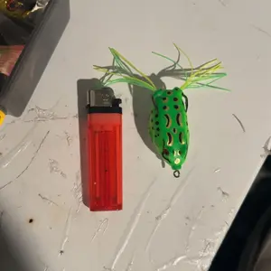 review image 1