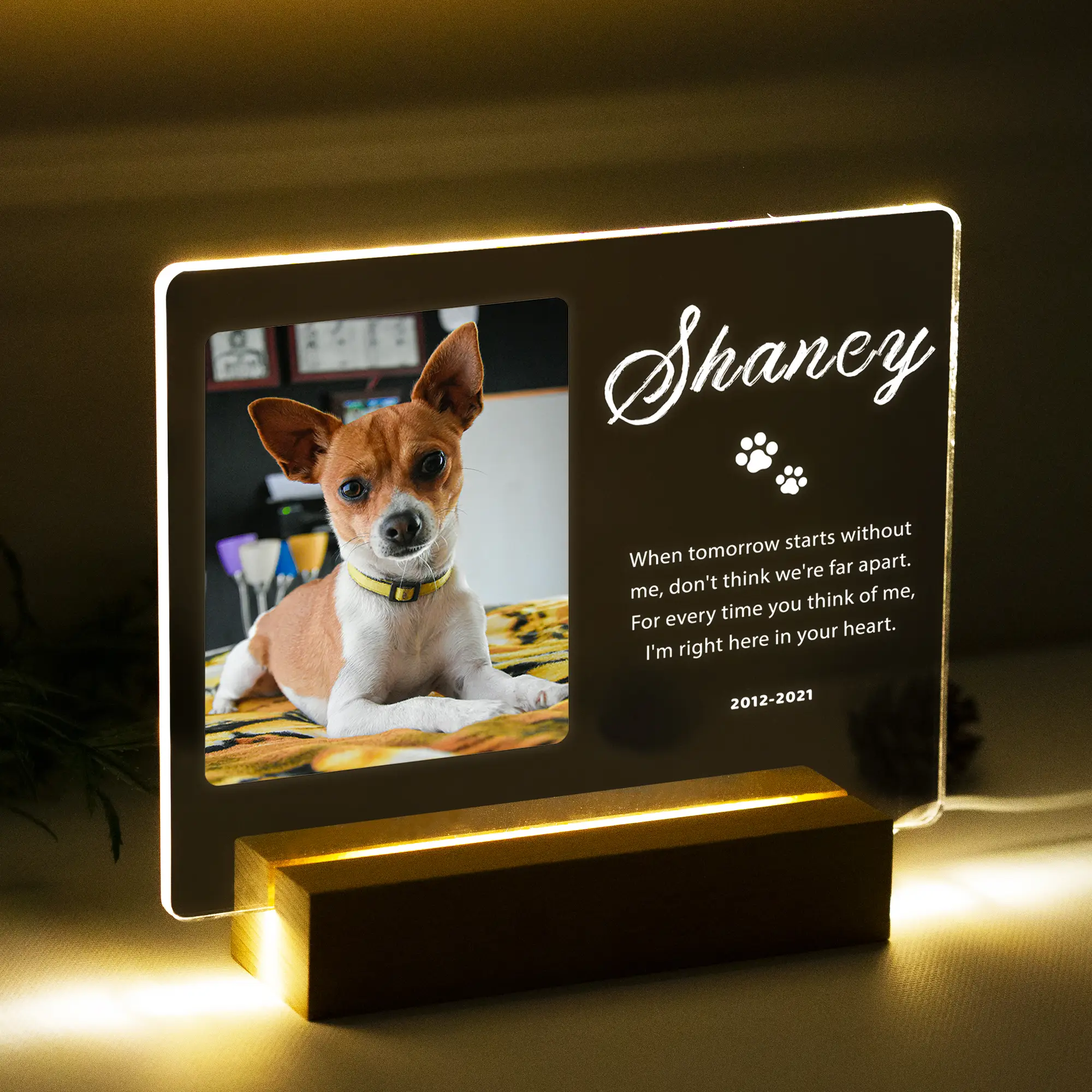 Custom Pet Memorial Gift - in Memory of Loss of Dog Sympathy Gift Night Light, Personalized LED Acrylic Plaque, Pet Loss Sympathy Gift, Dog Cat Memori