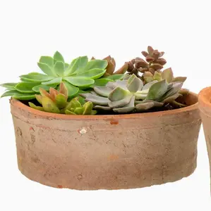 Aged Clay Planter