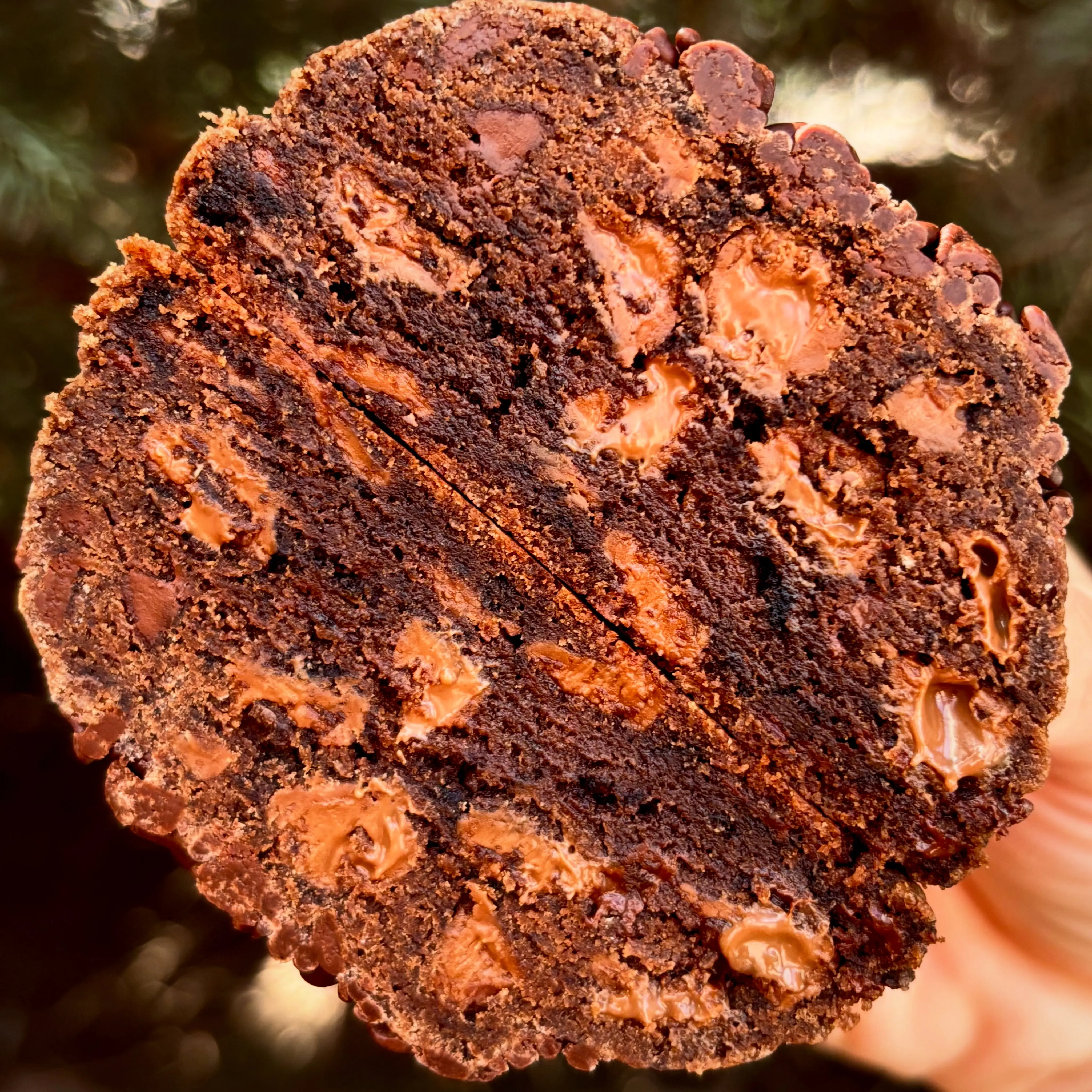 Chocolate Fudge Brownie