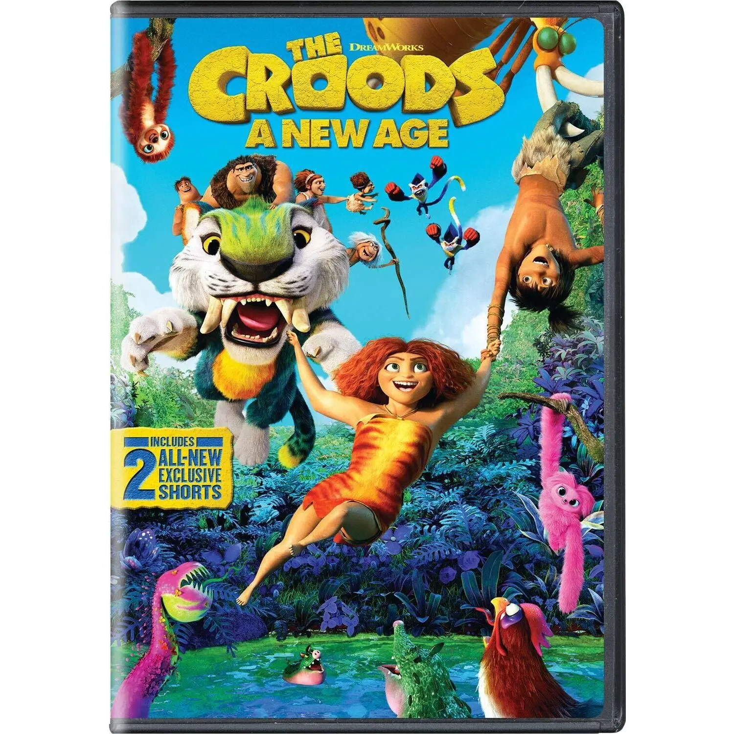 The Croods: A New Age  [DVD Video Disc]