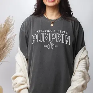 Pregnancy Announcement 2026 Shirt, Baby Reveal, Expecting a Little Pumpkin, Thanksgiving Pregnancy Reveal, Autumn Baby Sweatshirt, Hoodie, Comfort Colors