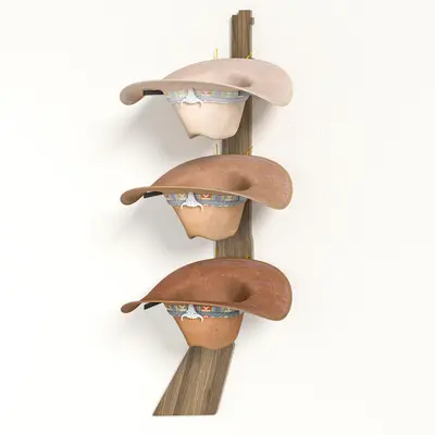 Hobby Lobby Western Decor TikTok Shop