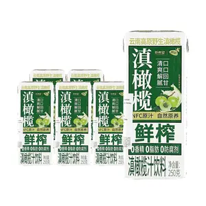 New Hope Organic Amla Juice - Freshly Squeezed NFC 250g x 6 Pack | Yunnan Specialty, Refreshing & Oil-Cutting