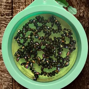 Picky Pad 1 Pack - 1 Count Fidget Toy for Skin Picking - Trichotillomania Relief Portable Fidget Toy Picky Pad (1 Count Circle)