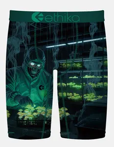 ETHIKA Shroom Alchemist Staple Mens Boxer Briefs