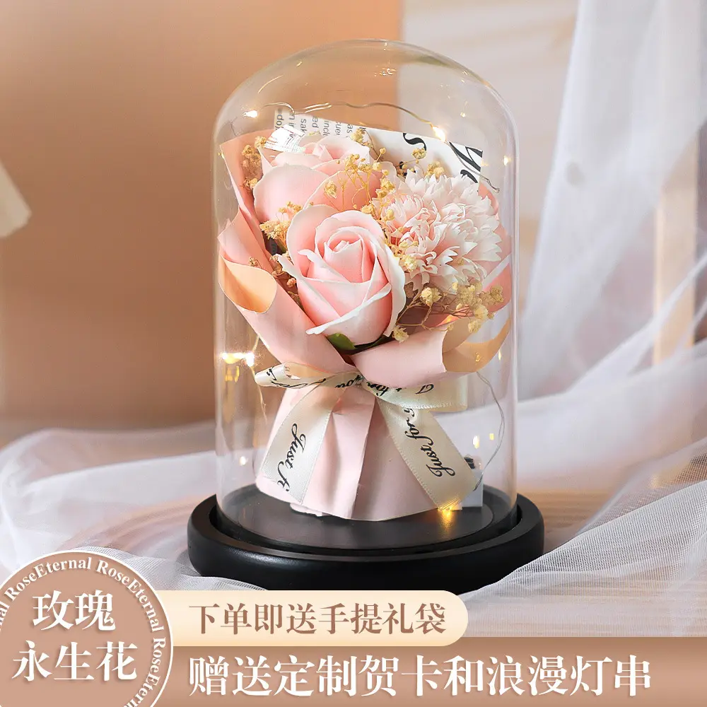 Preserved Rose Glass Dome, Pink Rose & Carnation, LED Light, Gift Bag & Card Included