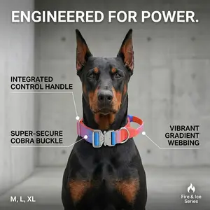 Gradient Tactical Dog Collar Heavy Duty Adjustable Pet Collar with Control Handle and Metal Buckle for Medium Large Dogs