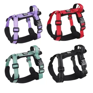 Adjustable No-Pull Dog Harness with Handle & Breathable Mesh Padding – Complete Pet Leash Set on Sale