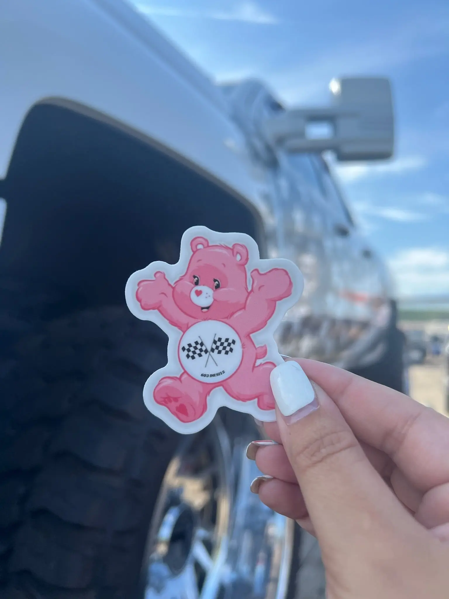 Care Bears Sticker - 115P, 116B, 117P