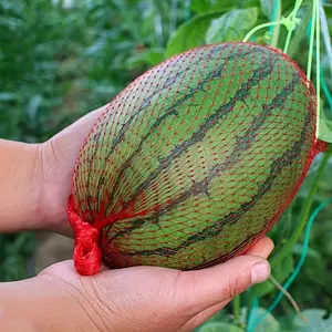100pcs, Watermelon Nets, Hanging Reusable Watermelon Nets Bags Melon Hammocks Cradles For Supporting Garden Growing Cantaloupes, Vegetables, Honeydew, Cucumbers, Plant Support Structures