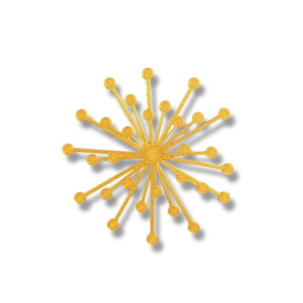 Firework Burst