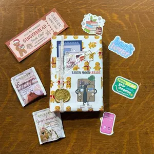 Mini Christmas Blind Date With a Book – New Curated Book Gift (Choose Genre + Extras)