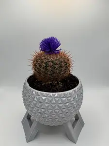 Epcot Spaceship Earth Inspired Planter – Unique Disney Home Decor, Custom Geometric Globe Plant Pot, One-of-a-Kind Gift for Disney Lovers