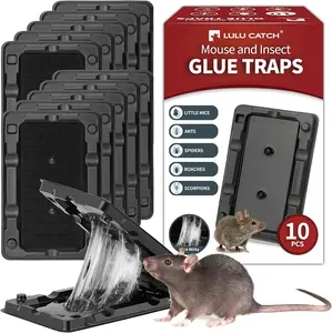 LULUCATCH Mouse & Insect Glue Traps 10 Pack Pre-Scented Sticky Traps for Home Non-Toxic for Mice Roach Lizard Bug Pet Safe Indoor & Garage Pest Control