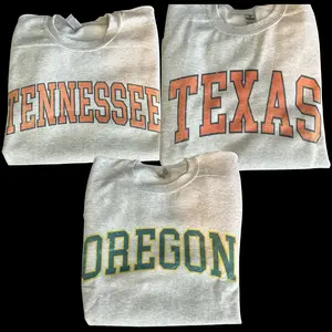 Vintage Varsity College T-Shirt Retro State Athletic Graphic Tee, ASH GREY Tee, Size S-5 XL, Gift For Fans, 50+ States Tee