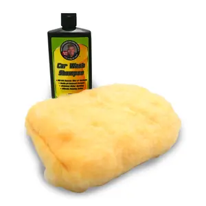 Car Wash Shampoo w/ Wash Mitt Car Wash Shampoo w/ Wash Mitt