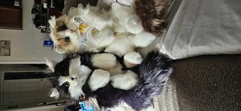 product review image from Chattycatty 1