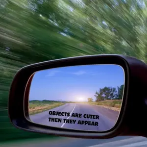 Objects in the mirror are cuter than they appear