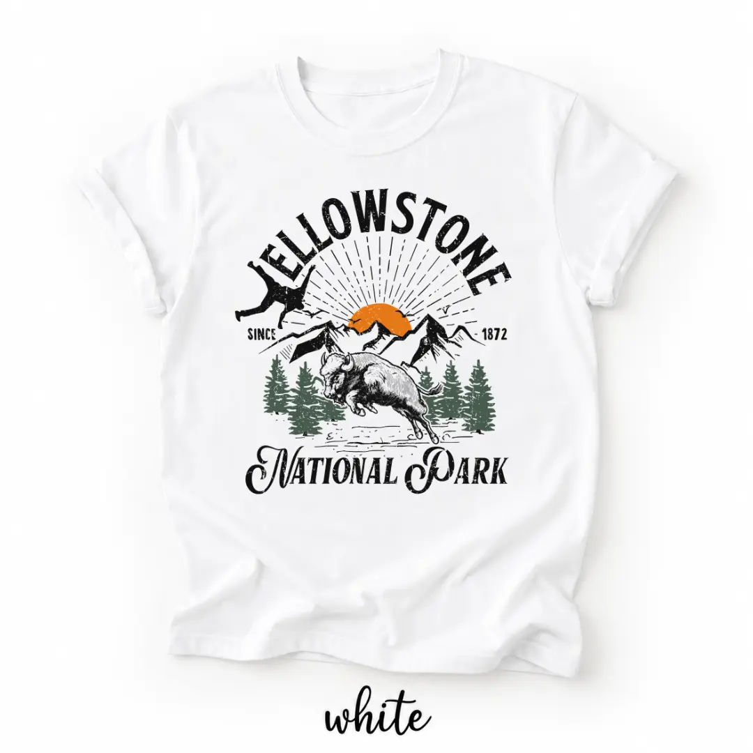 Bison Yellowstone National Park Shirt, Family Trip Outfit, Matching Camp Tees, Vacation Gifts