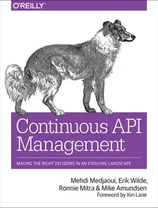 USED-Continuous API Management: Making the Right Decisions in an Evolving Landscape by Medjaoui, Mehdi (Paperback)