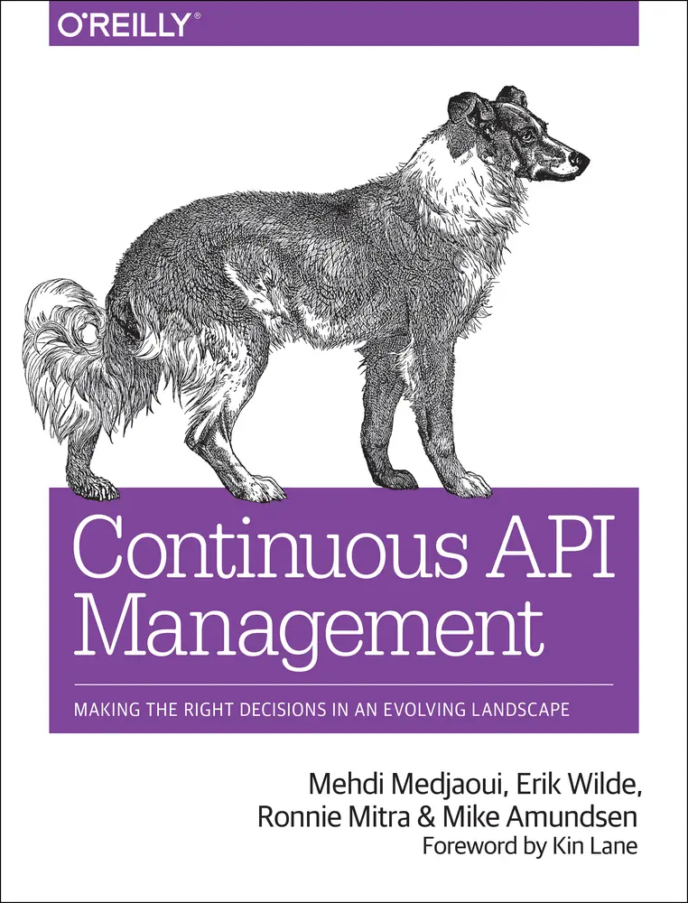 USED-Continuous API Management: Making the Right Decisions in an Evolving Landscape by Medjaoui, Mehdi (Paperback)