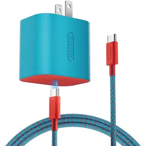 60W Charger for  2 AC Adapter 20V 3A, Power Adapter for  Switch2/1/OLED/Lite, Compatible with Steam Deck, Support 4K TV Dock Mode,  Charger