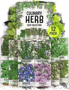 Seed Needs Herb Seeds Variety Pack Culinary Herb Collection (12 Individual Packets for Planting Indoors or Outdoors) Grow Your Own Herb Garden - Heirloom, Non-GMO