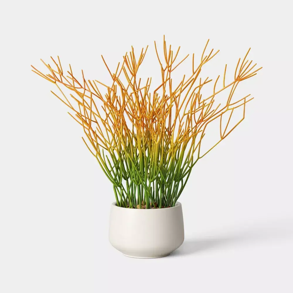 16" Artificial Pencil Cactus Dish Garden - Threshold