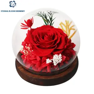ETERNAL BLOOM CERENOMY Azure Preserved Real Rose Flower in Glass Dome with LED Light - Women's Enchanted Decor Gift, Home & Festive Party Supply, Mother's Day Mom Gift, Flowers, Decorative