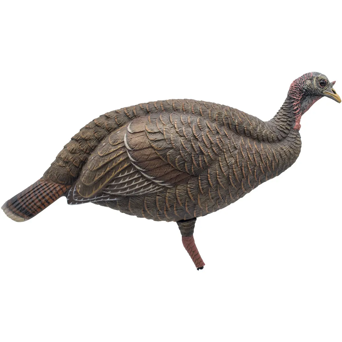 Final Approach Live Breeder Hen Turkey Decoy