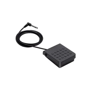 Casio SP3 Sustain Pedal for Keyboards