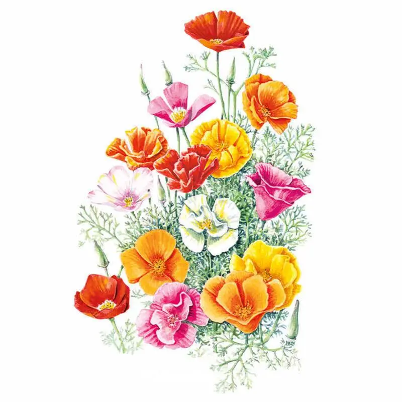 Mission Bells White California Poppy Seeds, Outdoor Garden Flower Seeds, Heat-Tolerant Variety with Ruffled Blooms, Saucer-Shape Petals, Self-Sow Capability, Little Care Required