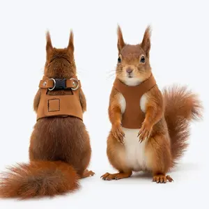 3-Pack Squirrel Harness & Leash Set Adjustable Soft Leather for Small Animals Training Walking Reptile Squirrel Rat Includes Budget Spring Premium Models