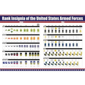 US Military Ranks Poster, United States Enlisted and Officer Insignia Poster Art