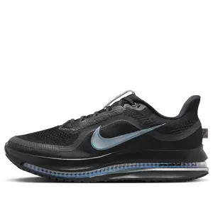 Nike Air Zoom Pegasus Premium 'Black Metallic Silver' HQ2592-005