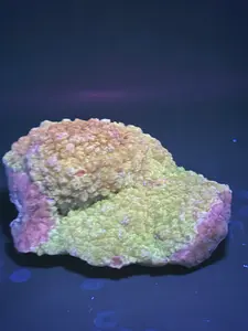 Druzy Quartz (Missouri) 761 Grams