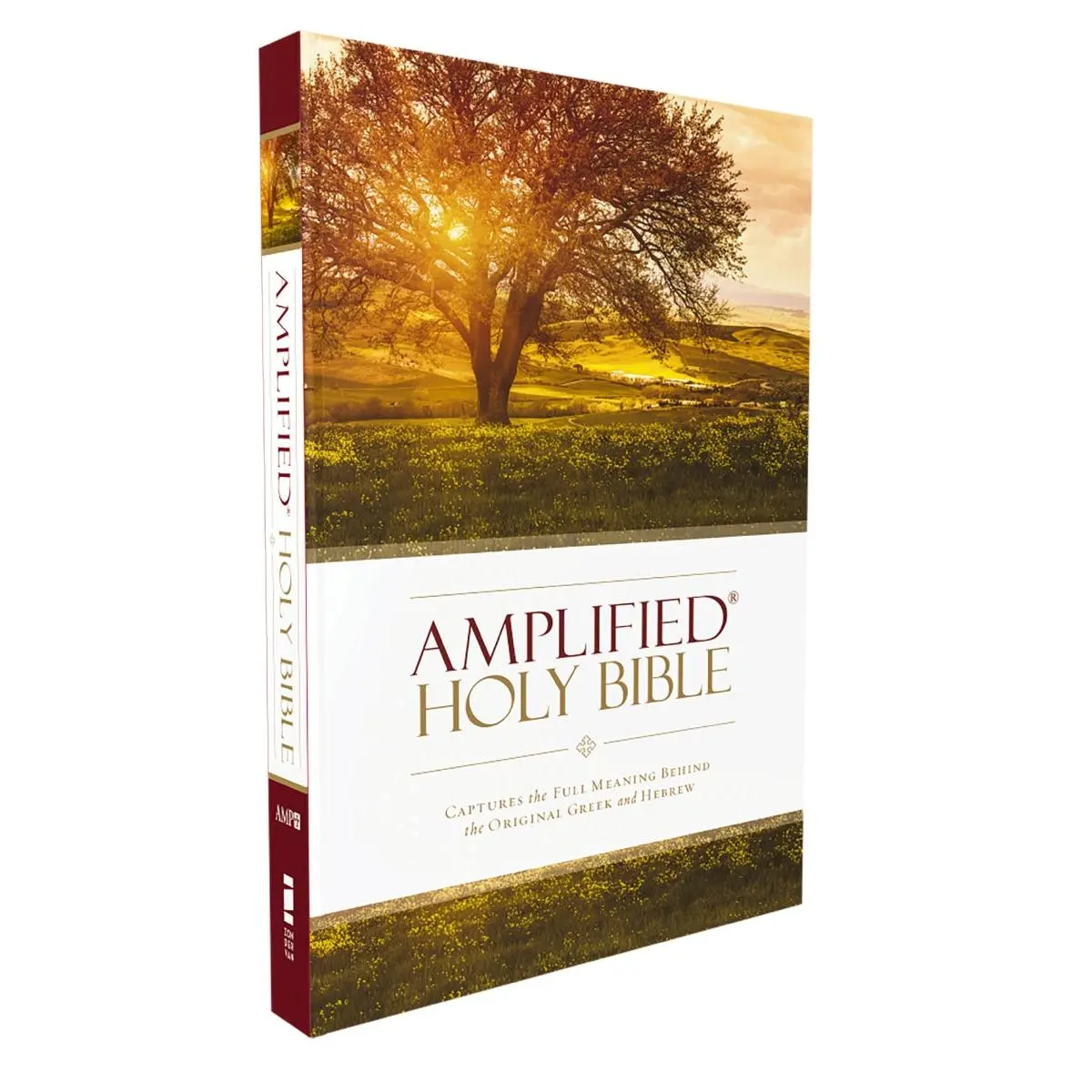 Amplified Holy Bible: Captures the Full Meaning Behind the Original Greek and Hebrew