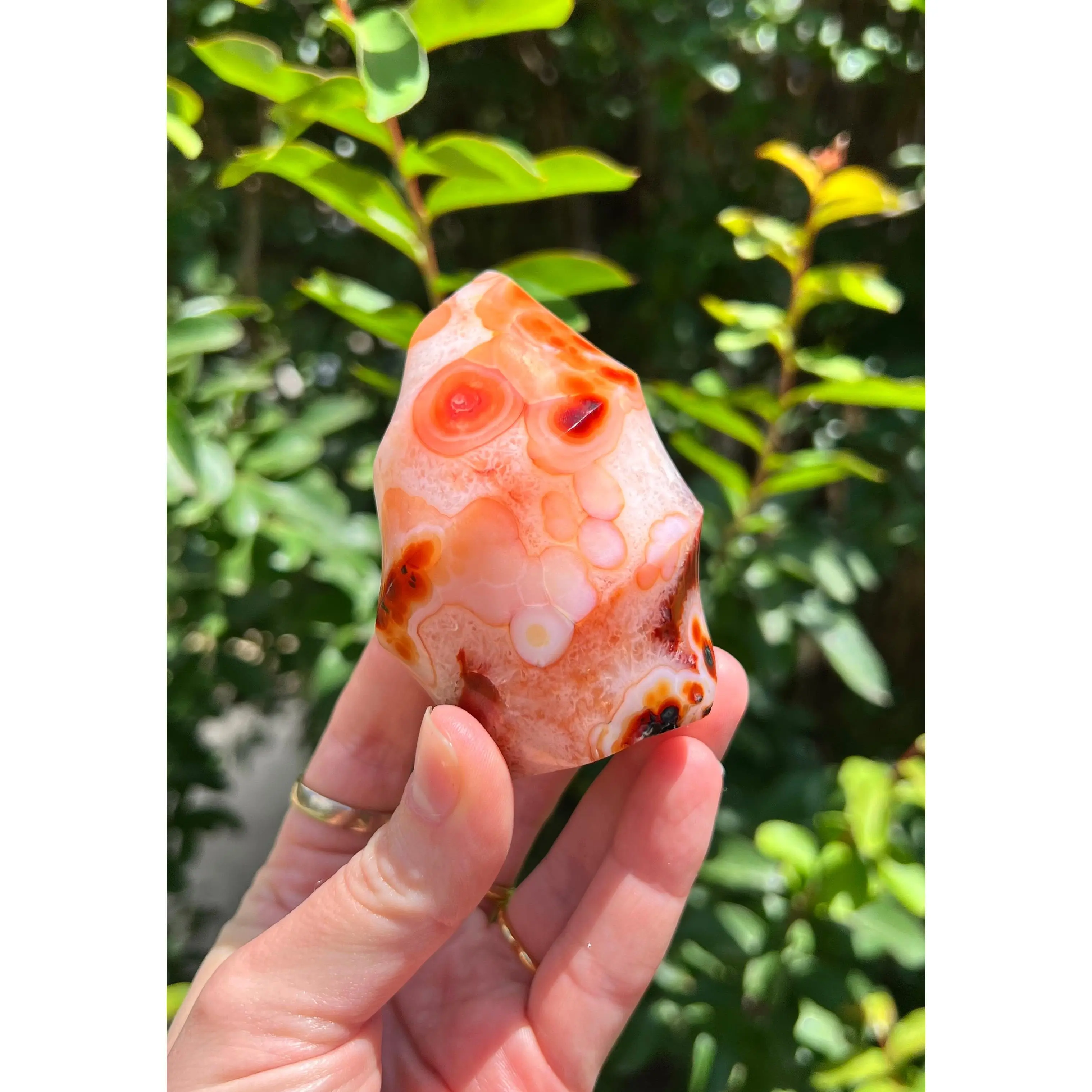 Carnelian Flames