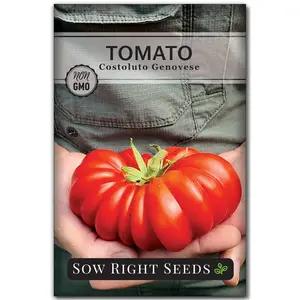 Costoluto Genovese Tomato Seeds